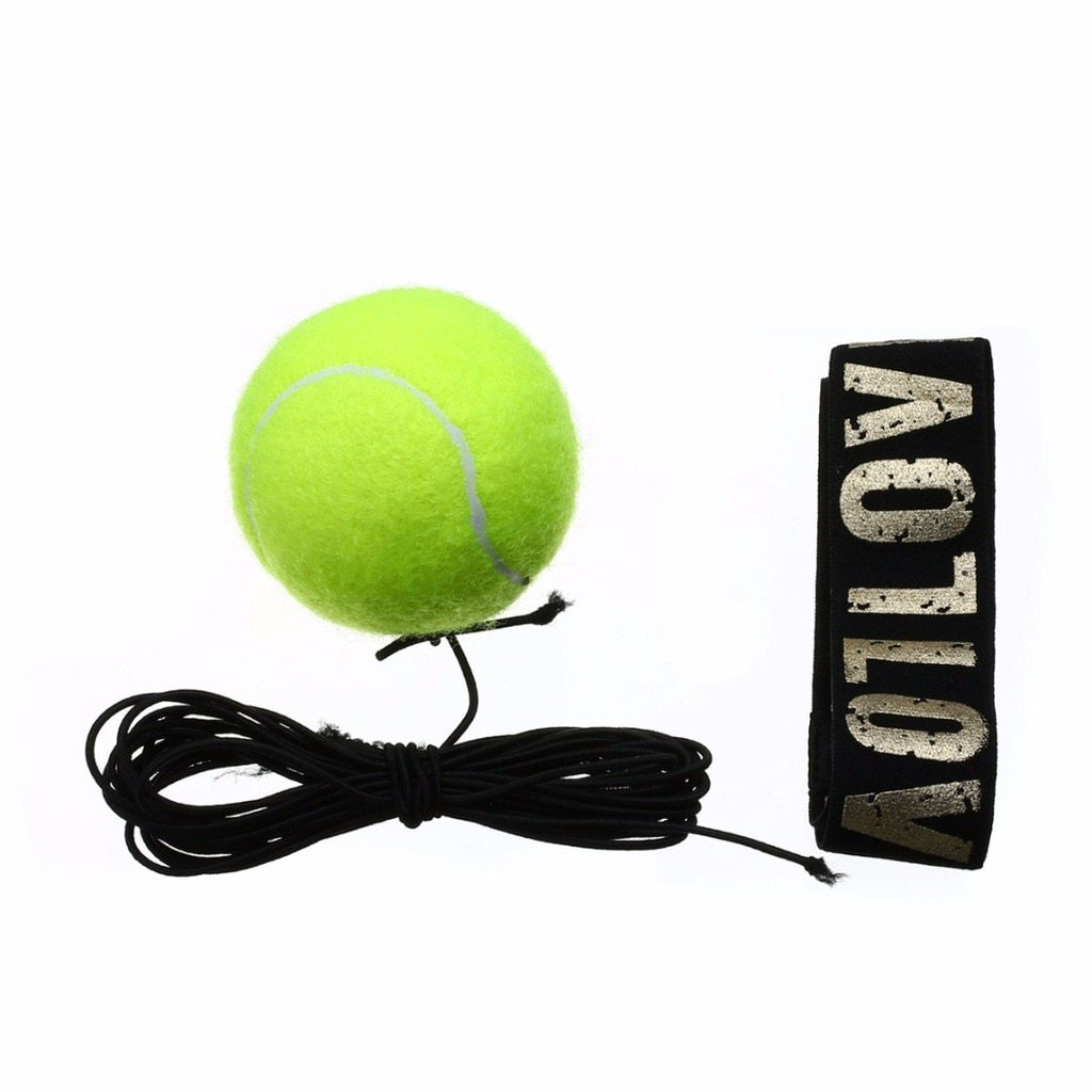 Boxing Reflex Speed Punch Ball by DC-THE CEO