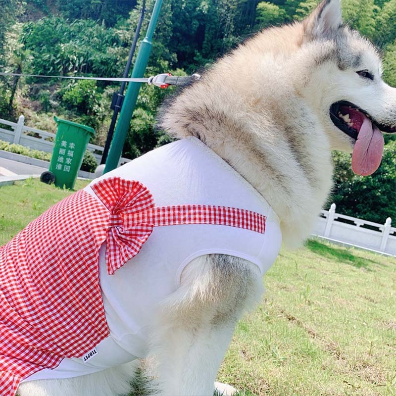 Dog Clothes Princess Dog Costume Labrador Golden Retriever Big Dog Clothes by DC-THE CEO