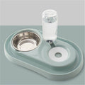 Dog bowl by DC-THE CEO