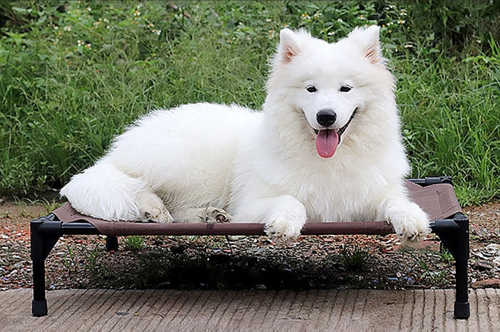 Pet bed dog moisture-proof removable washable stack dog bed Oxford cloth camp bed by DC-THE CEO
