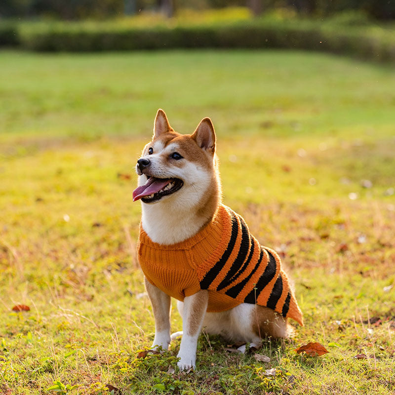 Halloween Dog Sweaters Pet Costume Teddy Warm Leisure Sweater Cosplay Clothes For Dogs Pets Outfits by DC-THE CEO