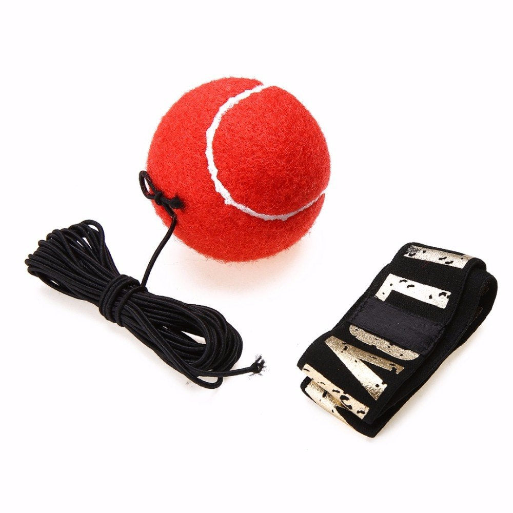 Boxing Reflex Speed Punch Ball by DC-THE CEO
