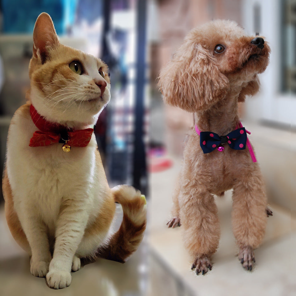 Pet accessories pet bow by DC-THE CEO
