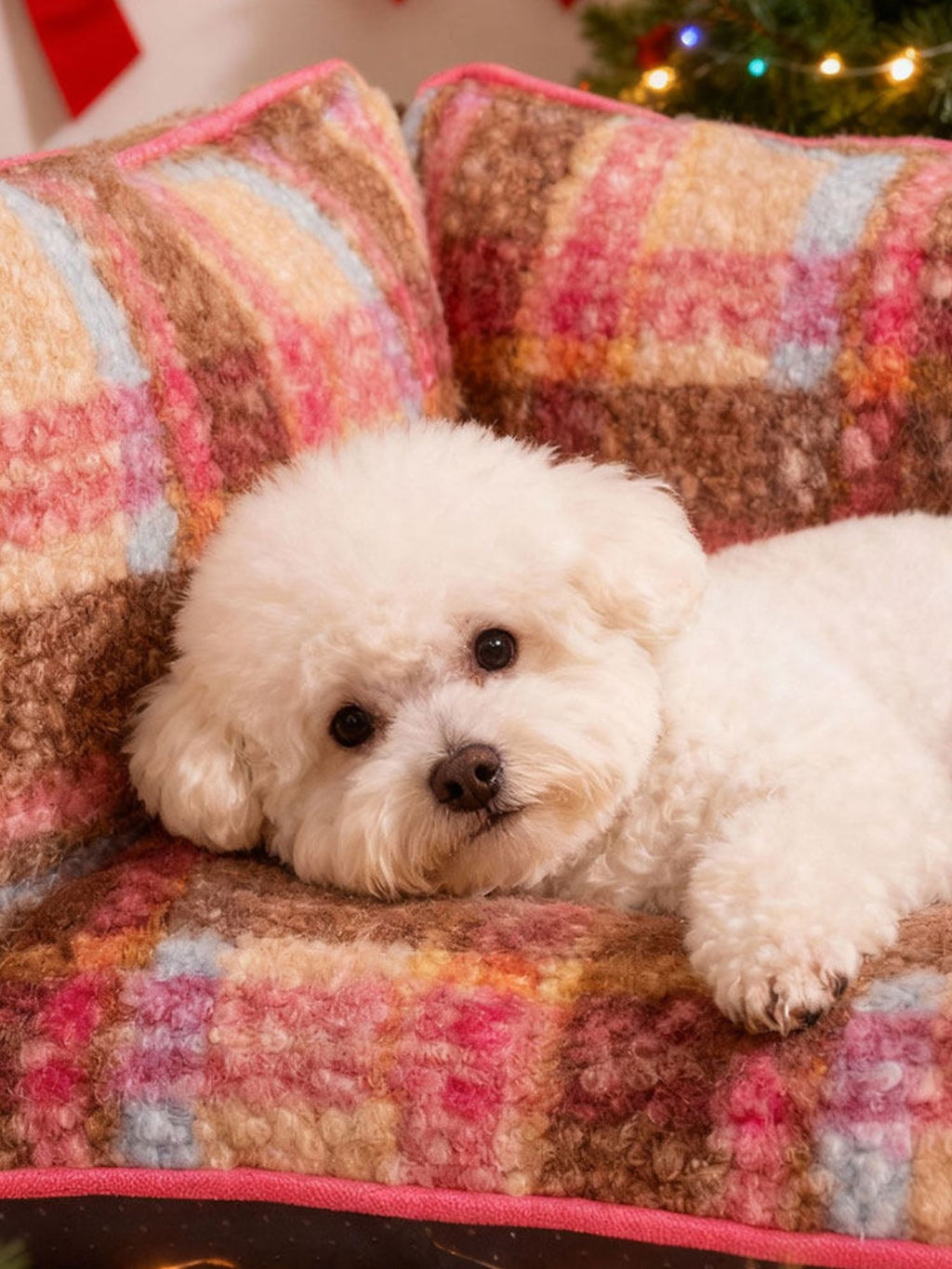 Plaid Pattern Plush Sofa Pet Bed by Trendsi