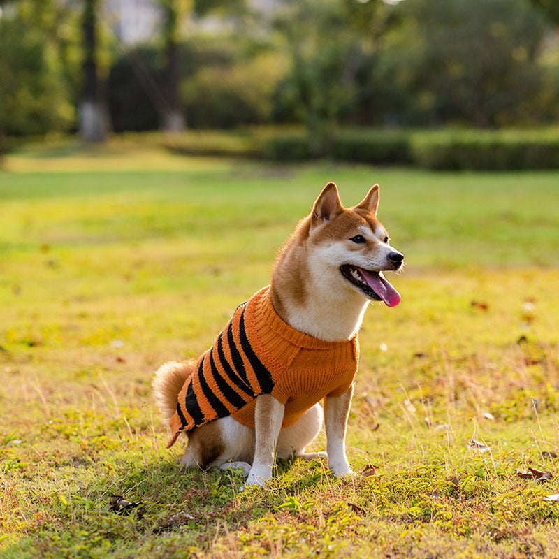 Halloween Dog Sweaters Pet Costume Teddy Warm Leisure Sweater Cosplay Clothes For Dogs Pets Outfits by DC-THE CEO