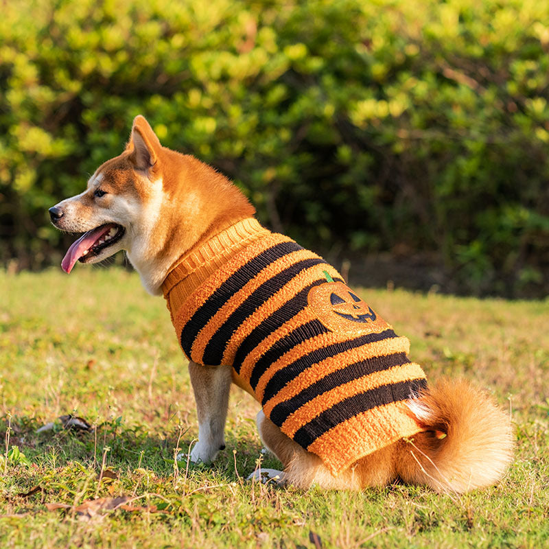 Halloween Dog Sweaters Pet Costume Teddy Warm Leisure Sweater Cosplay Clothes For Dogs Pets Outfits by DC-THE CEO
