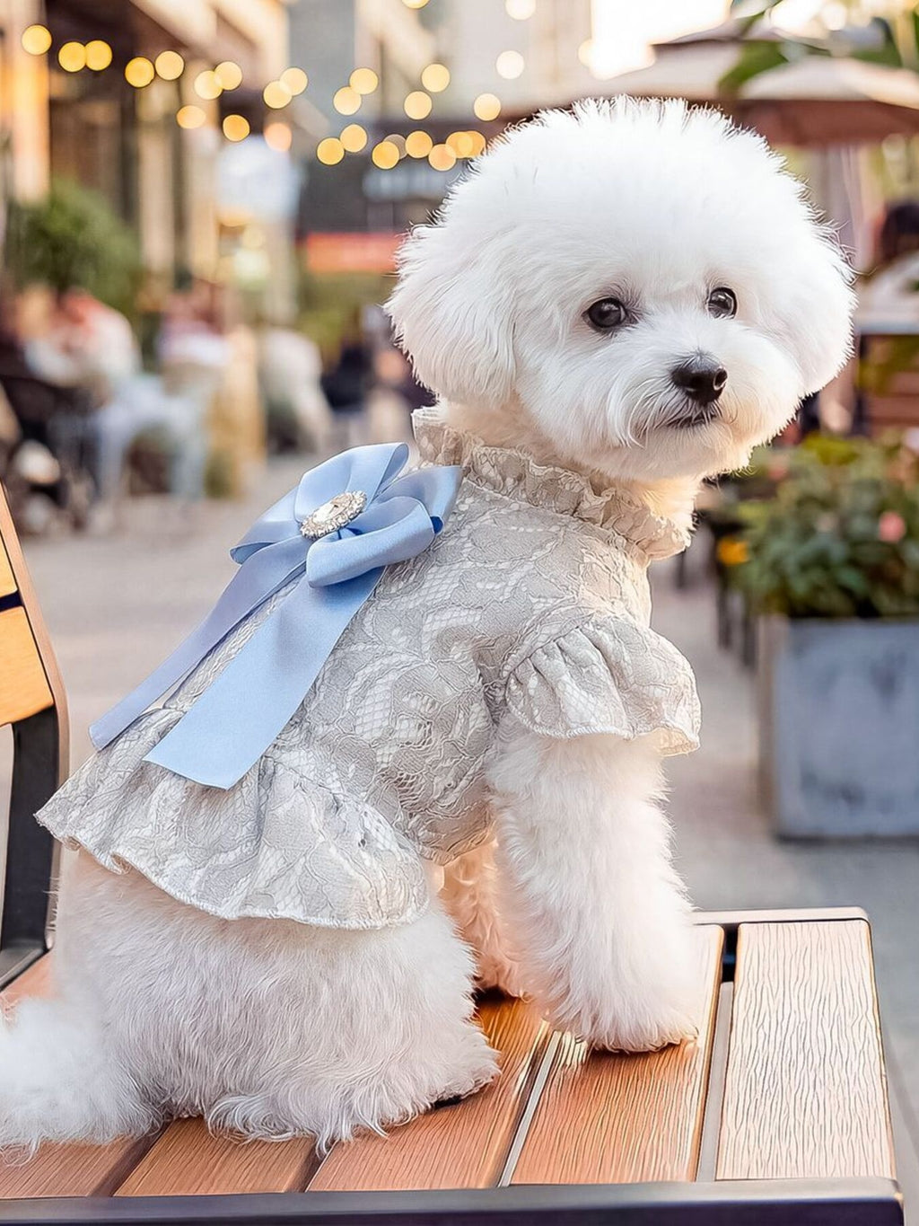 Ruffled Pet Dress with Bow by Trendsi