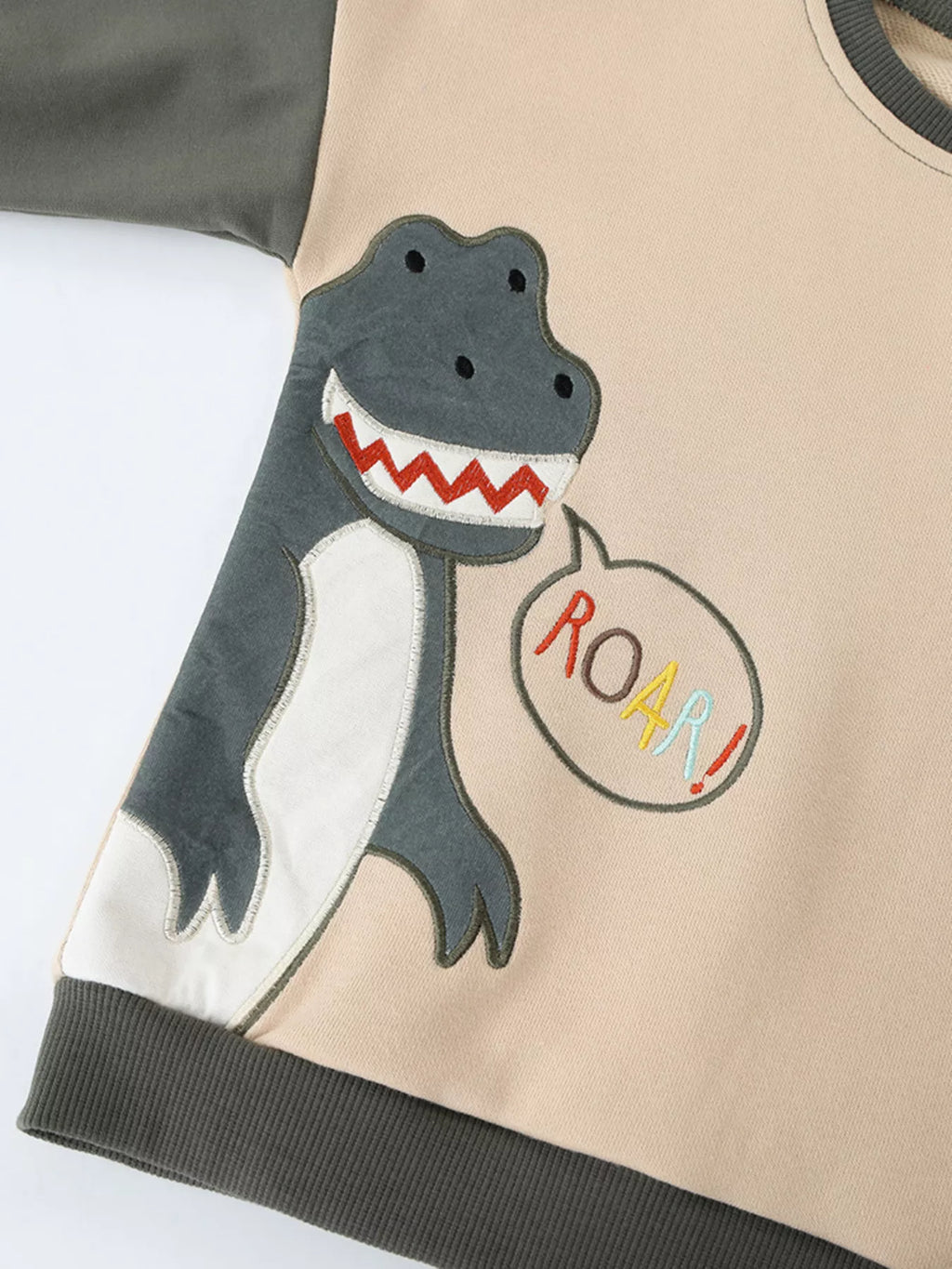 Children's Dinosaur Crew Neck Sweatshirt by Trendsi