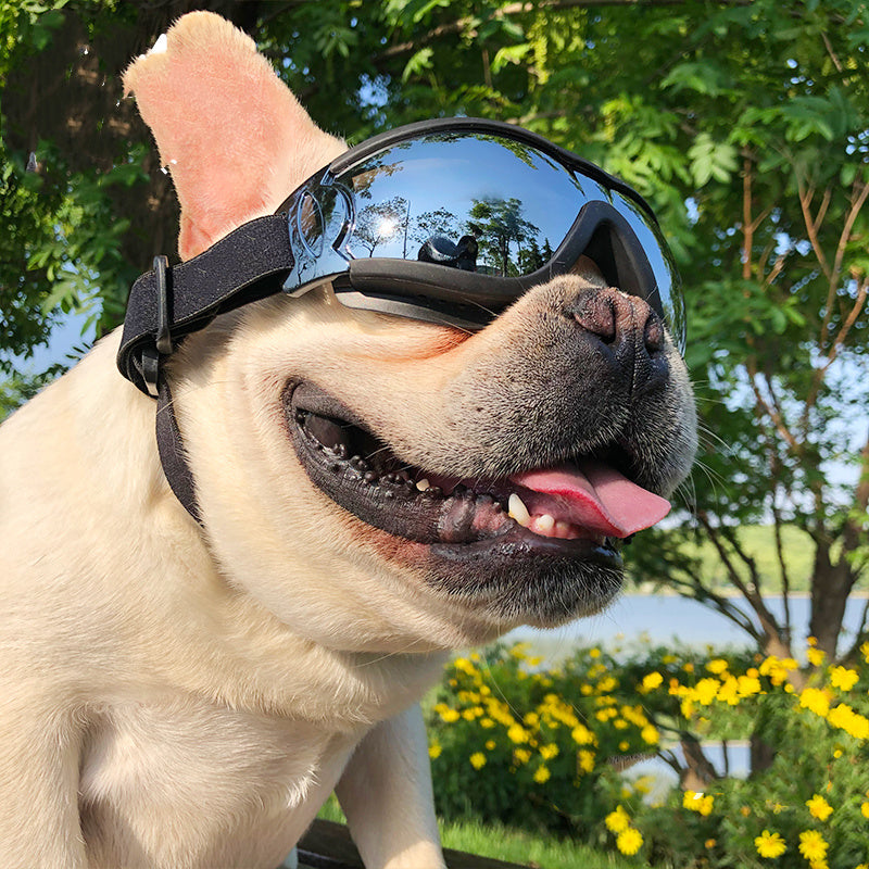 Pet Sunglasses Dog Windproof Glasses Accessories Goggles by DC-THE CEO