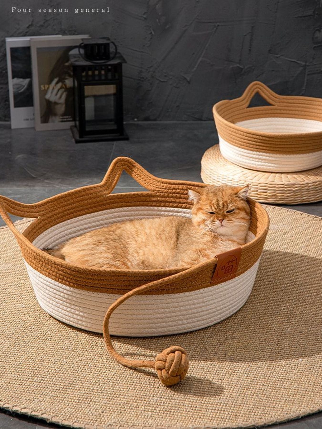 c2e6c64e-a615-4e47-a829-6e49c6cec7f0-Max