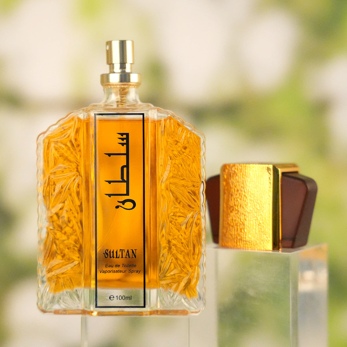 Men's And Women's Long-lasting Fragrances, Niche Fragrances-100ml by DC-THE CEO